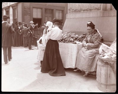 Veduta di un venditore di frutta a Battery Park, presumibilmente in attesa di immigrati da Ellis Island, New York, c.1901 da Byron Company